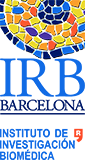 logo_IRB